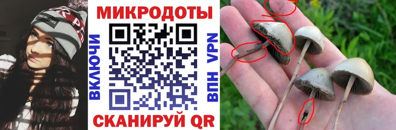 Псилоцибиновые грибы GOLDEN TEACHER  купить наркотик  Аргун 